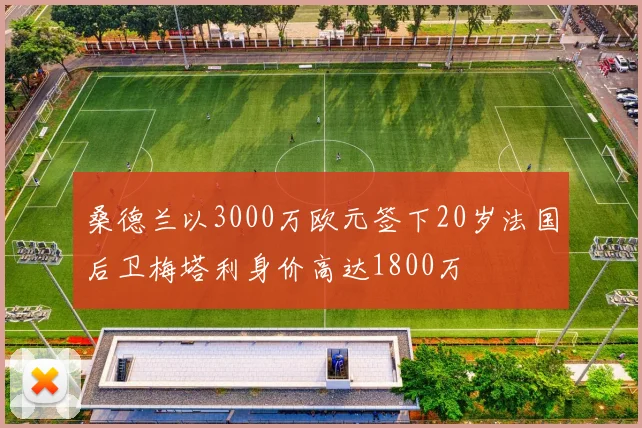 桑德兰以3000万欧元签下20岁法国后卫梅塔利身价高达1800万