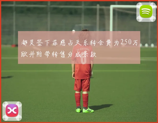 都灵签下菲慈占天乐转会费为250万欧并附带转售分成条款